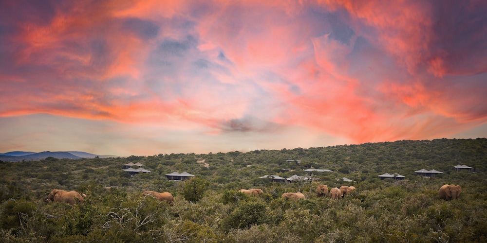 Ecca Lodge