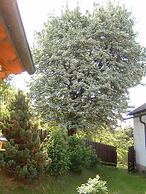 Gasthof Gruber