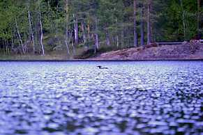 Salkolahti Minttu