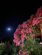 Faralya Misafir Evi