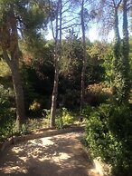 Mas De San Antonio