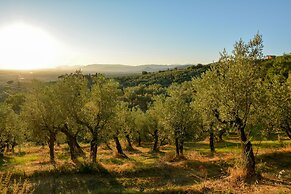 Agriturismo Podere Rondinaio