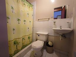 Vibes Hostel