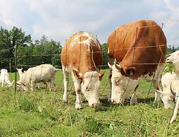 Farm Kundratice