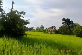 Sok Phen Homestay