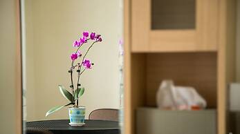 Blackfoot Homestay