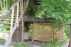 Areni House B&B