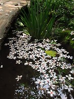 Zhuo Ye Cottage
