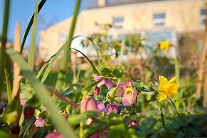 Vine Cottage - B&B