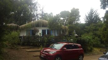440 Cachagua