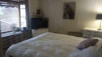 440 Cachagua