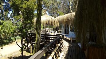 440 Cachagua