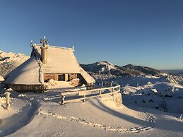Koca Ojstrica - Velika planina