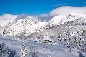Koca Ojstrica - Velika planina