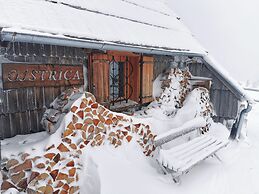 Koca Ojstrica - Velika planina
