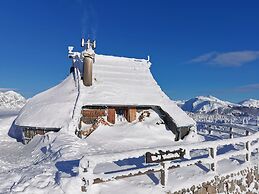 Koca Ojstrica - Velika planina