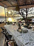 Teras Motel