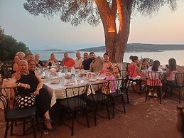 Teras Motel