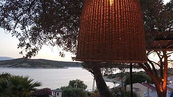 Teras Motel