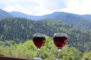 Ecohouse Svaneti