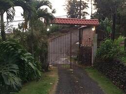 Hotel Brisas Del Volcán Platanar