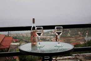 Elina's House