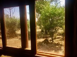 Amboseli Eco Camp