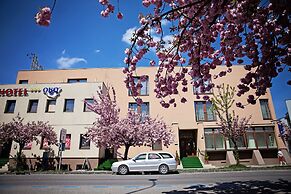 Hotel Oko