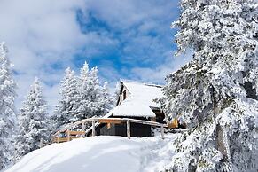 Koca Bistra - Velika planina
