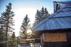 Koca Bistra - Velika planina