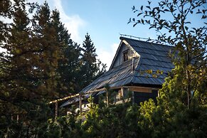 Koca Bistra - Velika planina