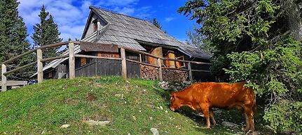 Koca Bistra - Velika planina