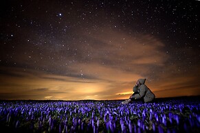 Koca Bistra - Velika planina