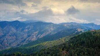 TreeHouse Chail Villas