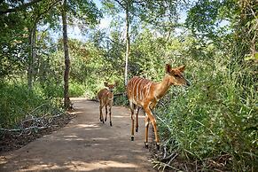 Saseka Tented Camp