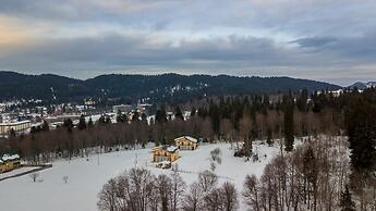 villa by sunexpress bakuriani