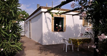 Salanitro