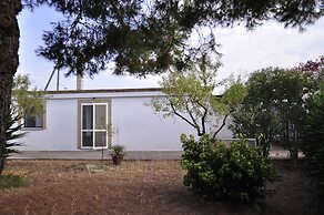 Salanitro