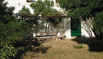 Salanitro