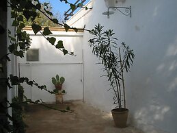 Salanitro
