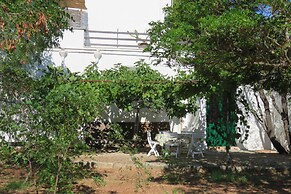 Salanitro