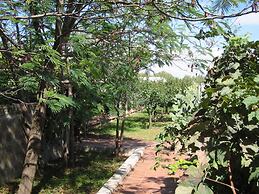 Salanitro