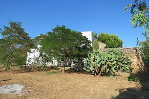 Salanitro