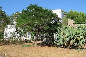 Salanitro