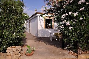 Salanitro