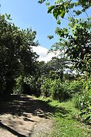 Wildlife Paradise