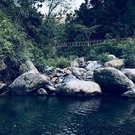 Nainital River Camp