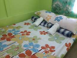 Green Bamboo