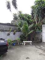Green Bamboo