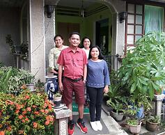 Green Bamboo